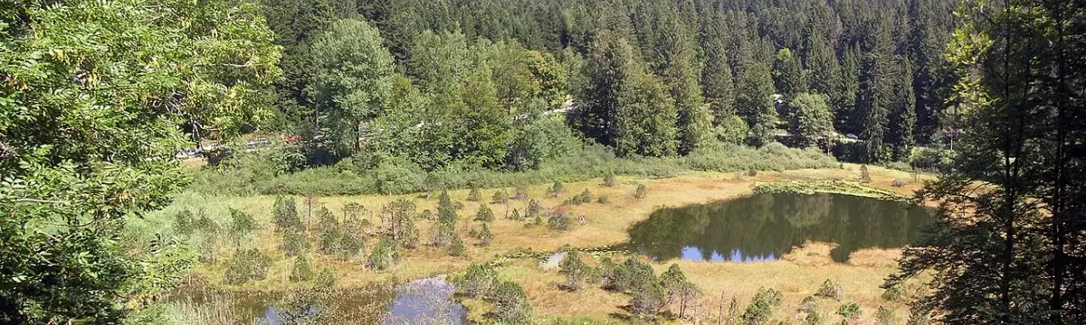 Lac Luitel, 1262 mètres d'altitude, Alpes