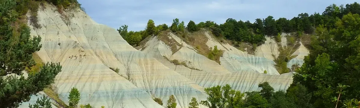 Ravin de Corboeuf, Loire