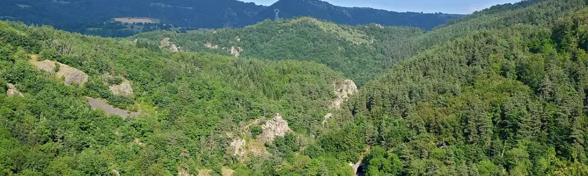 Gorges de l'Allier, Loire