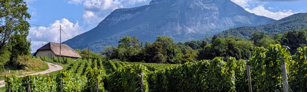 Mont Granier, 1933 mètres d'altitude, Savoie