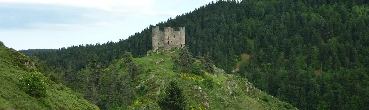 Site et château d'Alleuze