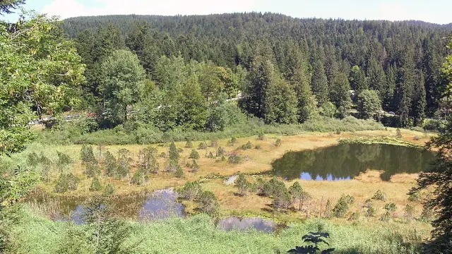 Lac Luitel, 1262 mètres d'altitude, Alpes